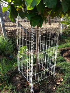 > </div>
<div class=